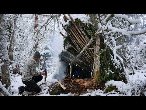 Can This Primitive Shelter Protect me From the Snow and Cold? - 3 Day Bushcraft