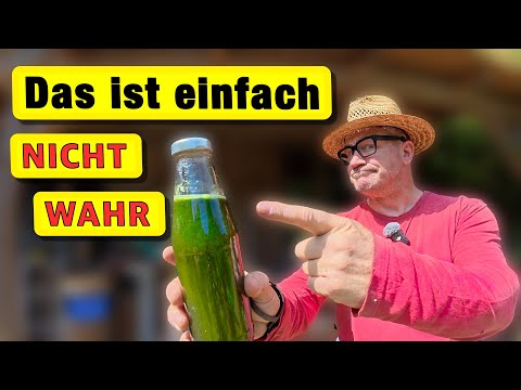 "Doesn't work!" – The lie about nettle manure debunked (My lab proof)