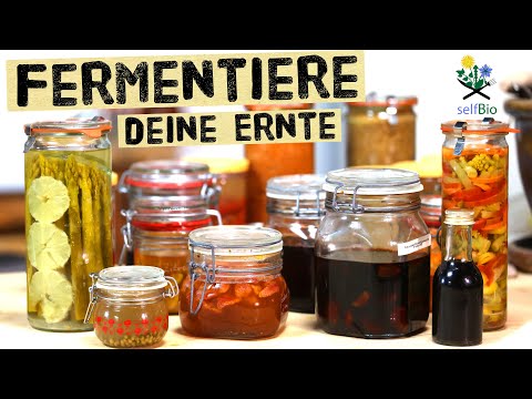 Komplette Fermentations Anleitung vom Profi - Salzmenge genau ausrechnen, Haltbarkeit, Methoden