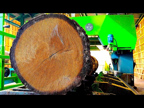 Řezání mohutných dubů na desky a výroba střešních latí na velké pásové pile | Celý proces