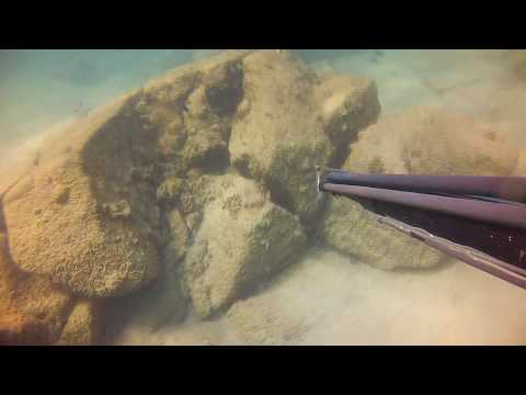 Нападение мурены и отмщение. Подводная охота в Таиланде