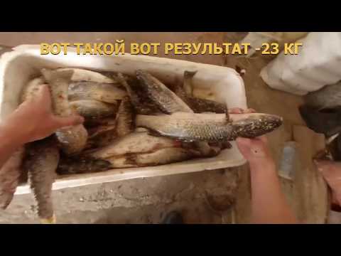 Пеленгас ходит по верху и не клюет, есть нехитрый монтаж - КЛЮНЕТ.