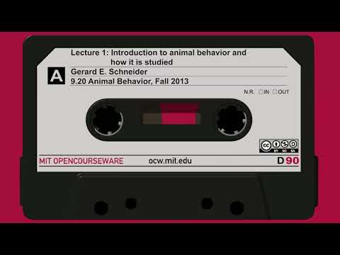 Lec1: Introduction to animal behavior and how it is studied
