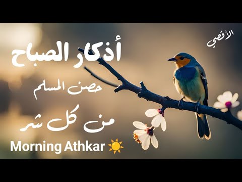 مع إشراقة الصباح، استمع لأذكار الصباح بصوت علاء عقل لتبدأ يومك بالسكينة والطمأنينة.