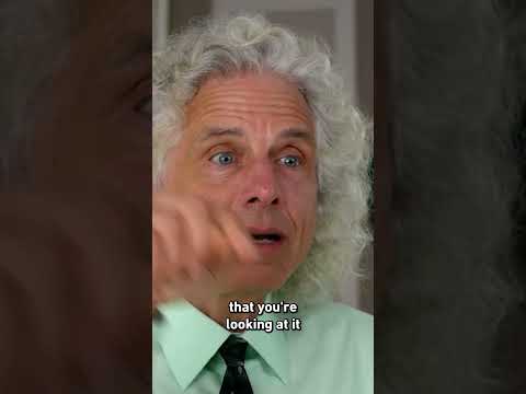 Meaning &amp; Perception