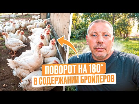 КАК я изменил подход к выращиванию БРОЙЛЕРОВ за 5 лет! Новый взгляд, новые рецепты! 👀🐔 #МоеПодворье