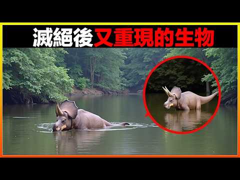 330年前已滅絕的生物，如今再次被相機拍到，科學界震動！16個曾被認為已滅絕的動物又再次出現，最後一個徹底驚呆眾人｜排名｜世界之最｜地球之最｜獵奇｜睡前故事