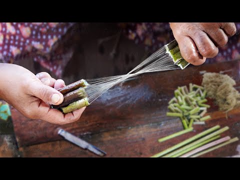 The Genius Way They Extract Millions of Expensive Lotus Silk Threads