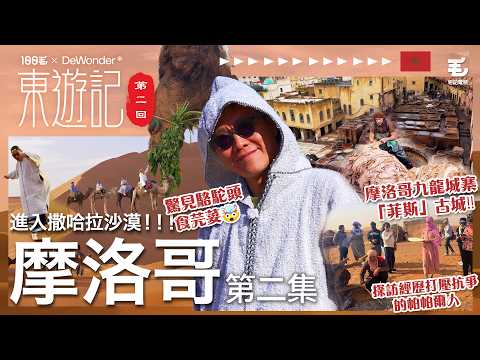 摩洛哥九龍城寨「菲斯」古城‼️驚見駱駝頭食芫荽🤯世界上最臭嘅皮革廠😱 染皮原來要用白鴿屎牛尿🤢進入撒哈拉沙漠！！！探訪經歷打壓抗爭的帕帕爾人《東遊記》第二回 摩洛哥 Ep.2