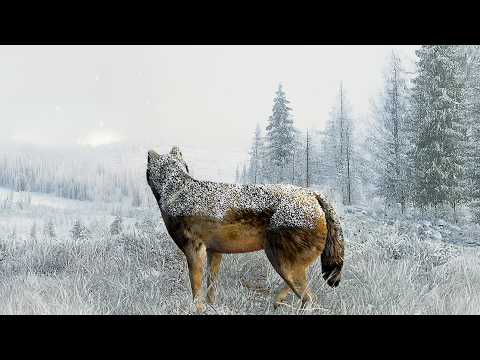 I Tried Surviving as a Solo Wolf...