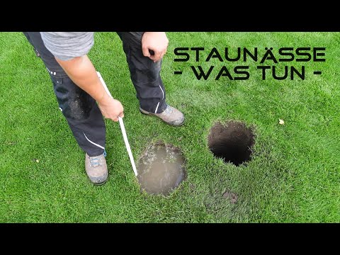 Staunässe im Rasen beheben | diese Möglichkeiten hast du