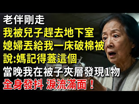 老伴剛走,我被兒子趕去地下室,媳婦丟給我一床破棉被:媽記得蓋這個。當晚我在被子夾層發現一物,全身發抖,淚流滿面!#中老年生活 #為人處世 #生活經驗 #情感故事 #幸福人生