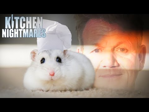 these chefs need a rat under their hat | 30+ Minute Compilation | Kitchen Nightmares
