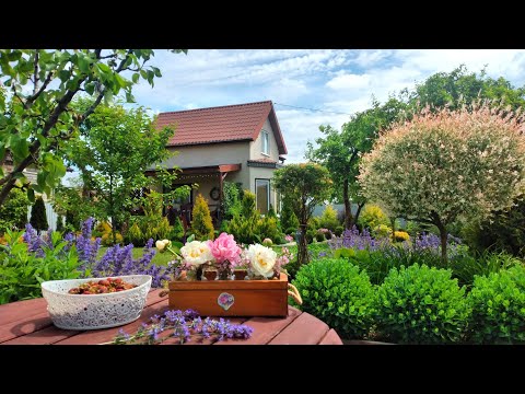 Огород не Как у Всех Есть на что посмотреть. Июнь