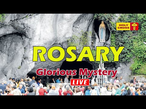 🔴 LIVE -24-12-2025 @ Holy Rosary from Lourdes Grotto | Glorious Mystery | Holy Cross Tv