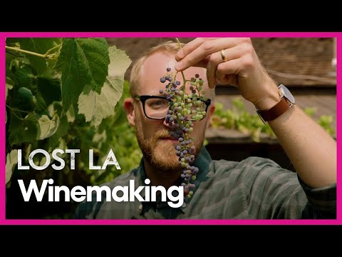 Winemaking | Lost LA | Season 5, Episode 2 | PBS SoCal