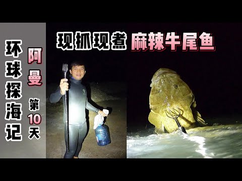 《环球探海记》阿曼~第10天：夜间赶海叉到1条很大的牛尾鱼，没想到做成麻辣味的居然这么好吃！