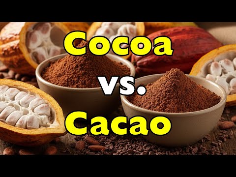 Cacao vs. Cocoa: What's the Real Difference?