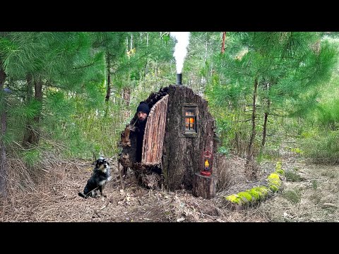 Building a Warm and Cozy Shelter on a Fallen Tree.Secret Lair, Bushcraft