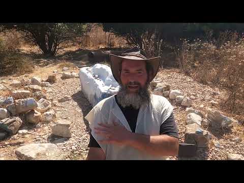 גן לאומי תל קדש - קדש נפתלי, בית מדרשו של יהושע בן נון, קבר אשר ונפתלי בני יעקב, מעיין עם בריכה