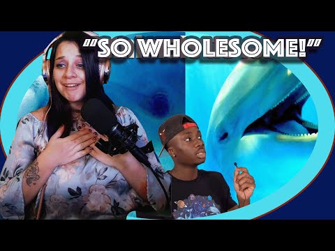 Lauren Reacts! How Do Wild Animals Have Fun? by Casual Geographic "So WHOLESOME!"