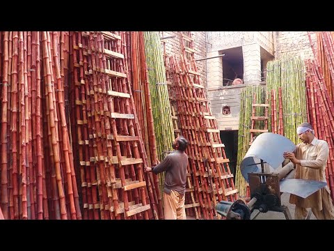 Top 15 Most Viewed Manufacturing Mass Production Amazing Different Factories Process Step By Step