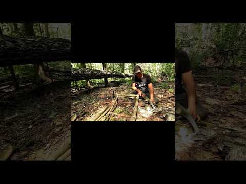 A Secret Hideout Deep in the Forest Part 2