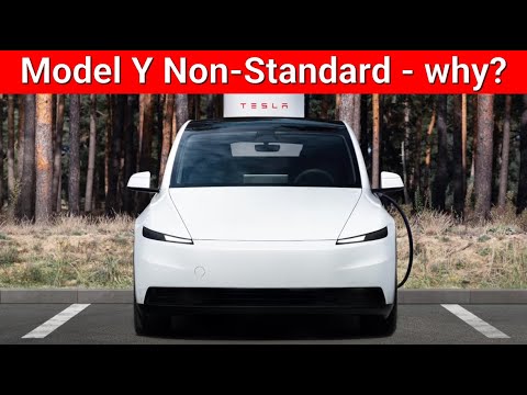 Model Y madness - who is this car aimed at?