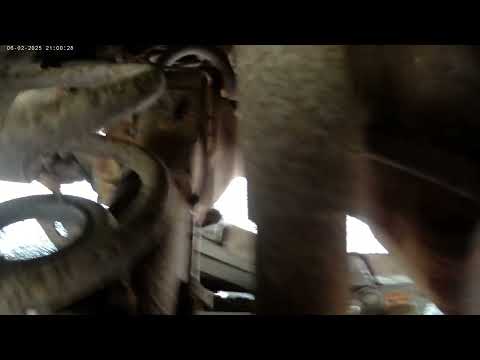 LTD pinched brake line