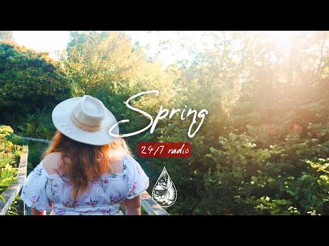 Spring 24/7 Radio 🌼 fresh indie/folk/acoustic music to brighten your day | alexrainbirdRadio
