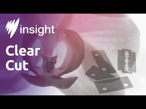 Is female circumcision 'mutilation'?