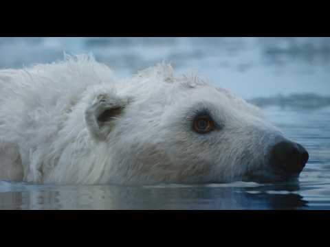 Robot Spy Polar Bear Hunt Fail