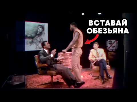 Когда Самоуверенные Бойцы Пытались Высмеять Мухаммеда Али и ПОПЛАТИЛИСЬ За Это!