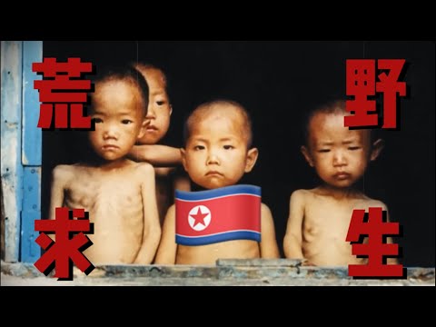 朝鲜人和田鼠抢食、吃猪饲料，是为何？？？