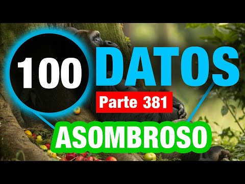 100 Datos Curiosos En Los Que No Creerás