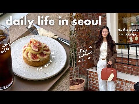 seoul vlog 🐿️ catching up, where i've been, lunchbox recipes, london/paris trip, fixing my guitar