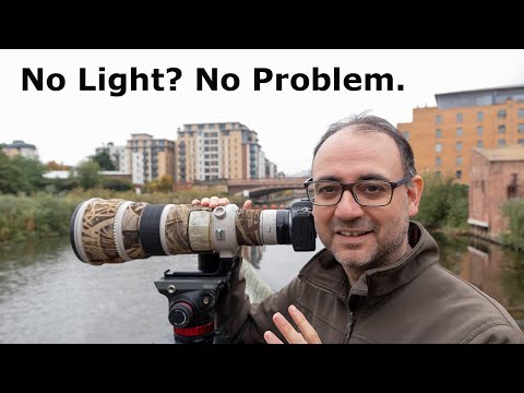 MASTERING Bird Photos in DULL LIGHT: Bird Photography Tips in the Field (UK)