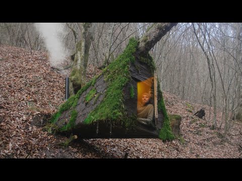 Built a Warm Shelter on a Tree in Winter