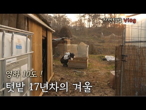 [December-1] Moving the rainwater storage tank in -10°C weather😅