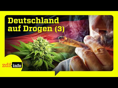 Provinz im Rausch: Cannabis-Hotspot an der deutschen Küste | ZDFinfo Doku