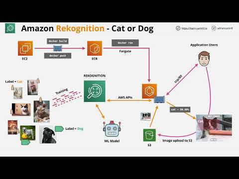 Mini Project - Using Amazon Rekognition and Machine Learning to detect cats and dogs