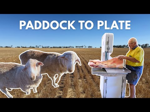 Life on a Remote Western Australia Family Farm | Paddock to Plate Lamb