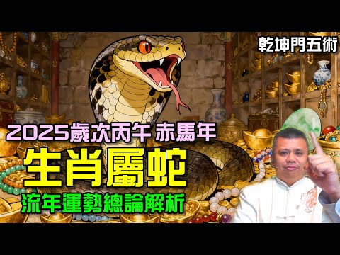 生肖屬蛇專屬!2026歲次丙午馬年流年總論解析