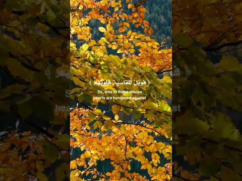 #لا_اله_الا_الله #قران_كريم #سبحان_اللهِ_وبحمده_سبحان_الله_العظيم