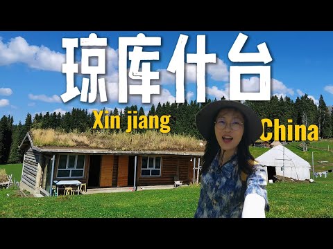 来到新疆绝美森林草原！住进牧民家，感受哈萨克族放牧生活。