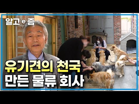 평범한 물류 회사에 유기견들의 천국이 생겼다? 8마리의 유기견을 돌보며 천국 같은 공간을 만들어준 사장님과 직원들│세상에 나쁜 개는 없다│알고e즘