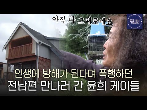 [스페셜] 품격 있는 노숙자 윤희 케이들, 첫 만남부터 미국행까지.. 추방됐던 진짜 사정은?
