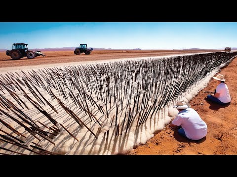 Вот Зачем Австралия Закапывает Тонны Овечьей Шерсти в Мертвую Землю