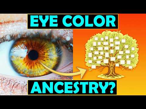 The Hidden Links Between Eye Color & Ancestry… Hazel, Blue, Brown etc.