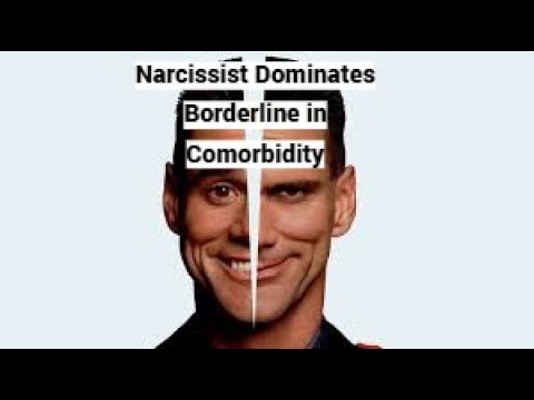 Narcissist Dominates Borderline in Comorbidity (When Diagnosed in Same Person)